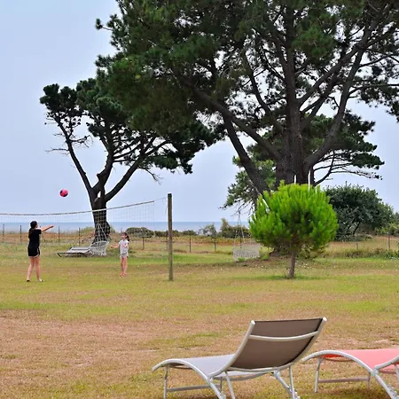 Pinea Mare Poggio Mezzana