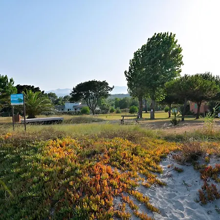 Pinea Mare 3* Poggio Mezzana