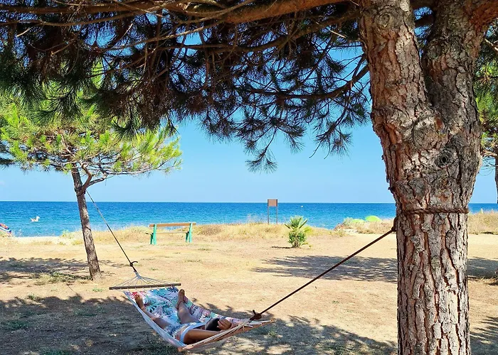 Pinea Mare