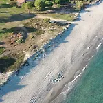 Pinea Mare Poggio Mezzana