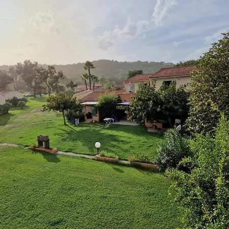 Pinea Mare Poggio Mezzana