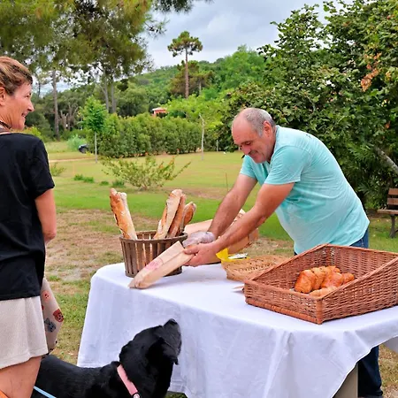 Pinea Mare Feriepark 3*