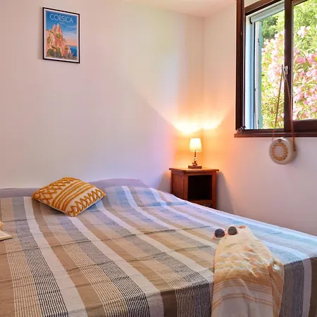 Pinea Mare Poggio Mezzana