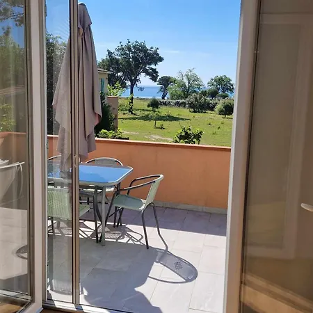 Pinea Mare Poggio Mezzana