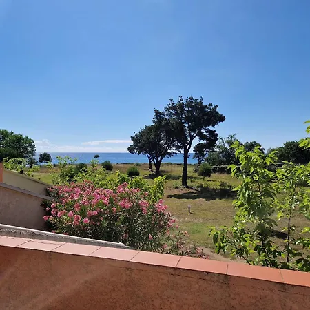 Pinea Mare Poggio Mezzana