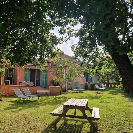 Pinea Mare Poggio Mezzana