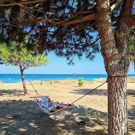 Pinea Mare