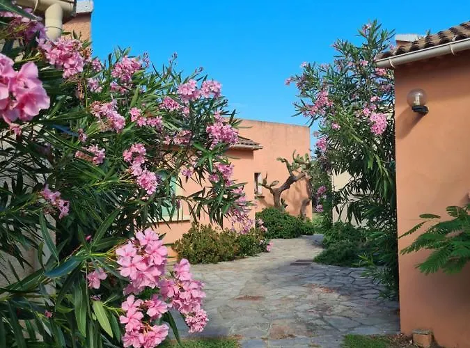 Pinea Mare Poggio Mezzana