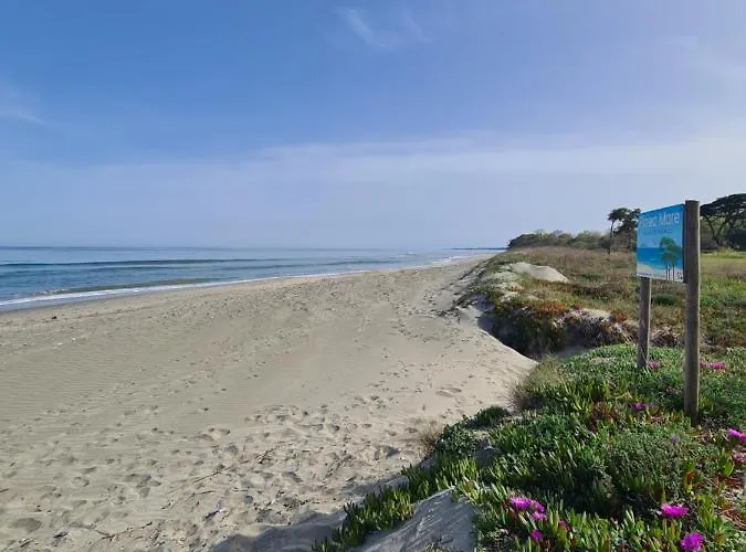 Pinea Mare 3* Poggio Mezzana