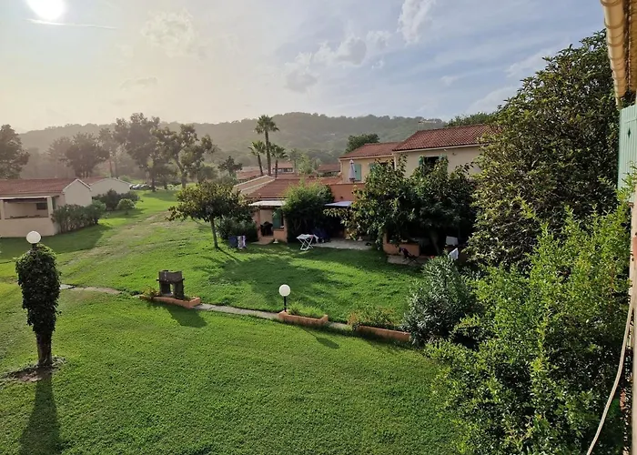 Pinea Mare Poggio Mezzana