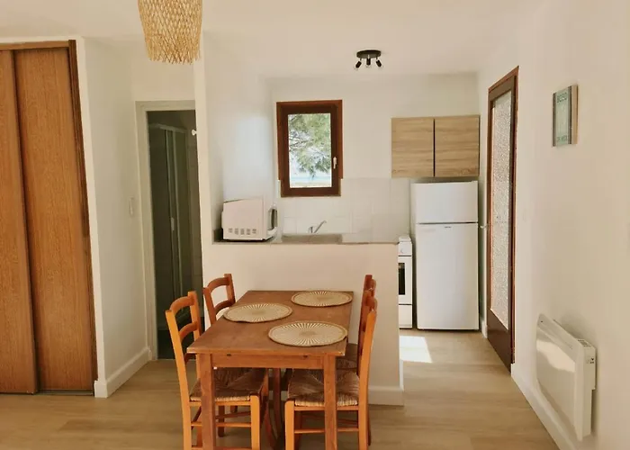 比内亚马雷酒店