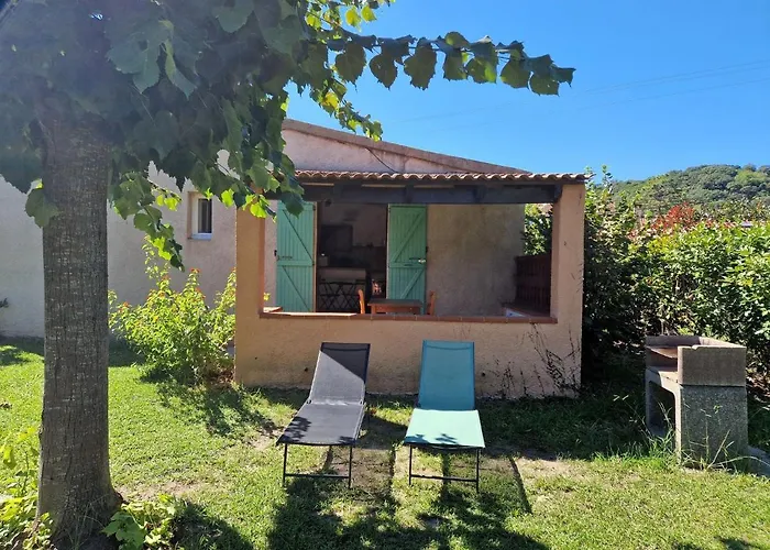 Pinea Mare Poggio Mezzana