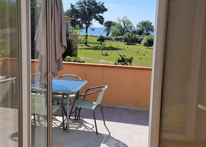 Pinea Mare Poggio Mezzana