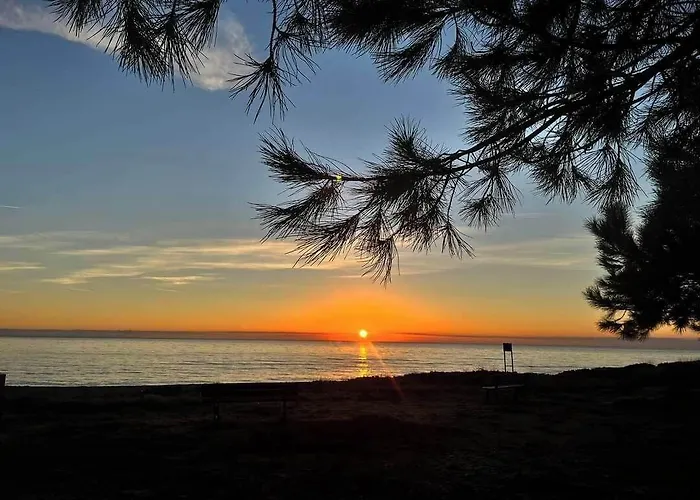 Pinea Mare 3* Poggio Mezzana