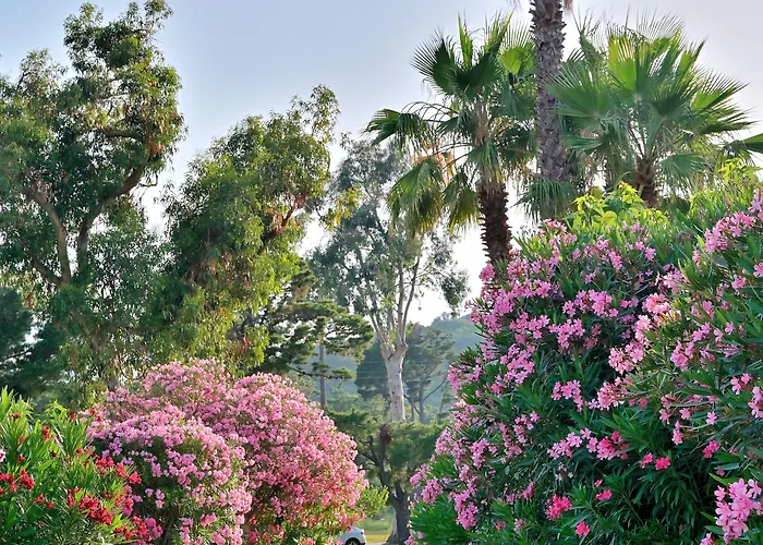 Semesterpark Pinea Mare Poggio Mezzana