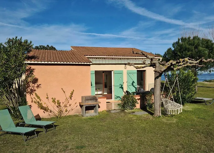 Pinea Mare Poggio Mezzana