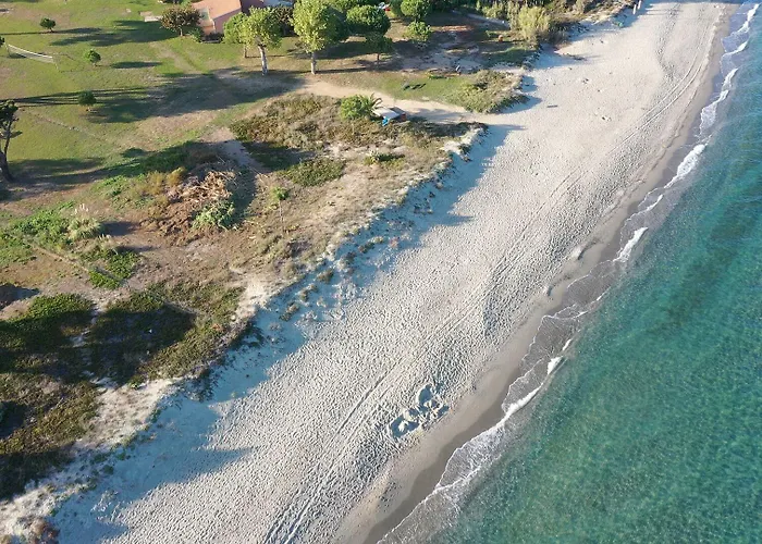 Pinea Mare Poggio Mezzana